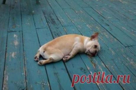 Что? Рабочая неделя?...