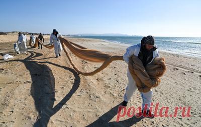 На Кубани может потребоваться увеличение сил по ликвидации ЧП с танкерами. Губернатор Краснодарского края Вениамин Кондратьев сообщил, что на работах задействованы более 1,7 тыс. человек