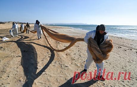 На Кубани может потребоваться увеличение сил по ликвидации ЧП с танкерами. Губернатор Краснодарского края Вениамин Кондратьев сообщил, что на работах задействованы более 1,7 тыс. человек