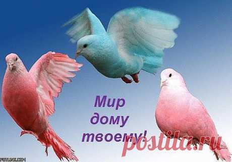 Мир вашему дому! Человек в мире вещей… Читаю эту фразу и понимаю, что мир устроен именно так: человека окружают вещи, которые живут своей, не видимой нам, обывателям, жизнью. Одно останется неизменным: вещи имеют над нами власть, причем немалую.В последнее время в нашей стране очень популярно стало жить, спать, есть и любить по Фен-Шуй.Но почему же мы так любим искать хорошее то на Востоке, то на Западе, забывая про свой собственный исторический опыт и свою религию ? Начните вспоминать ...