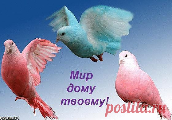 Мир вашему дому! Человек в мире вещей… Читаю эту фразу и понимаю, что мир устроен именно так: человека окружают вещи, которые живут своей, не видимой нам, обывателям, жизнью. Одно останется неизменным: вещи имеют над нами власть, причем немалую.В последнее время в нашей стране очень популярно стало жить, спать, есть и любить по Фен-Шуй.Но почему же мы так любим искать хорошее то на Востоке, то на Западе, забывая про свой собственный исторический опыт и свою религию ? Начните вспоминать ...