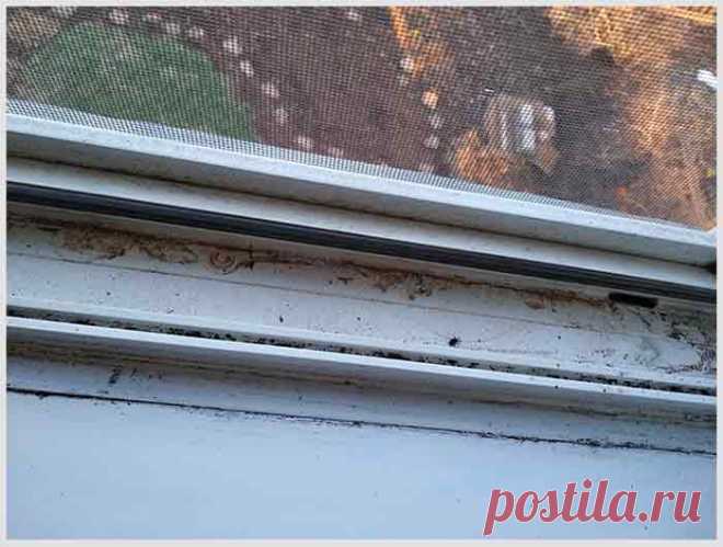 Как очистить оконные притворы. Секрет уборки