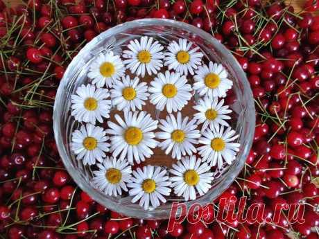 11 Июля 2016 г. – Понедельник • Всемирный день шоколада (World Chocolate Day) 21 год • Целый день соглашения (со вселенной) • Всемирный день народонаселения (World Population Day) 29 лет • День художника по свету (светооператора) 142 года • Именины у Германа, Иоанна, Кира, Сергия, Павла
