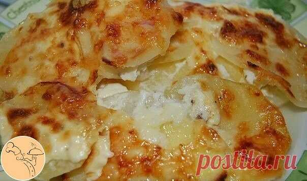 КАРТОФЕЛЬ 