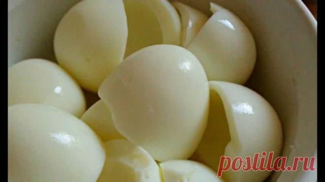 Преимущества включения яичных белков в ваш рацион! - Советы для женщин