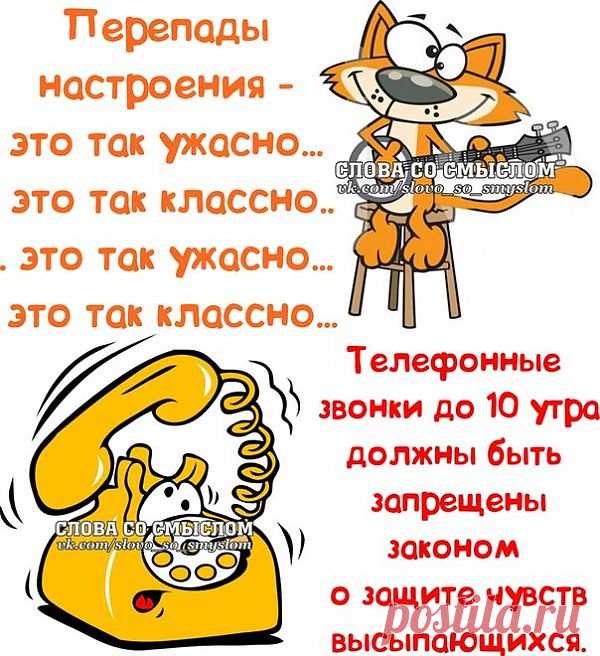 Прикольные фразочки со смыслом :).