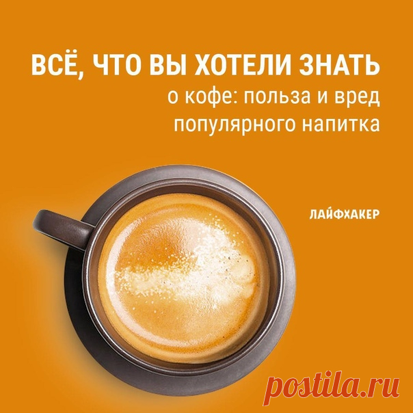 Кофеин — самый употребляемый наркотик в мире. Чаще всего он попадает в организм именно с кофе. Но до сих пор непонятно, чего же от этого напитка больше — пользы или вреда. Мы решили в этом разобраться: