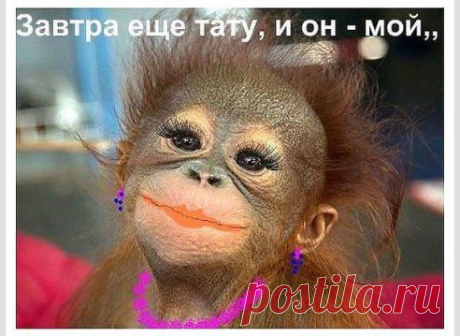 Дружбу не предлагать… Только замуж… Коротко о себе: волшебная на всю голову...........