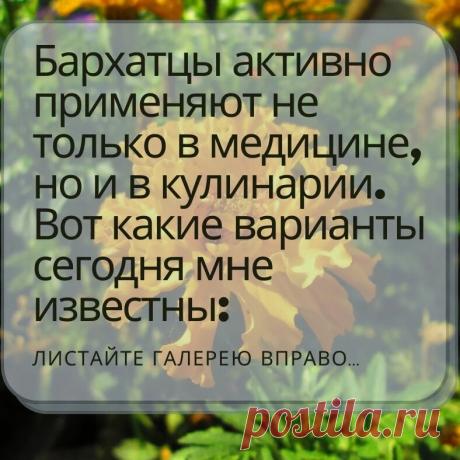 Бархатцы, они же «бархотки», «Чернобривцы» и «Тагетесы» очень популярный цветок. А знаете ли вы как ещё кроме выращивания на клумбах можно применять этот милейший цветок? | Садовый рай 🌱 | Яндекс Дзен