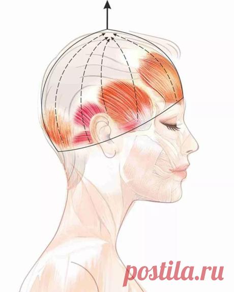 Упражнение «Шлем»: эффективная подтяжка лица без скальпеля!