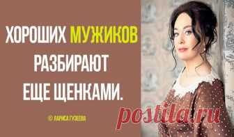 40 Лучших перлов Ларисы Гузеевой Ларису Гузееву называют Фаиной Раневской нашего времени. Мы предлагаем вашему вниманию 40 лучших перлов от знаменитой свахи и актрисы Ларисы Гузеевой.