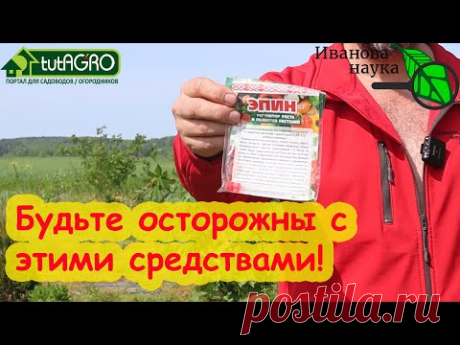 РАССАДА РАСТЕТ СРАЗУ ПОСЛЕ ВЫСАДКИ: Эпин, Циркон, Этамон, Старт-КМЕ, Аминосил, Аминорост, Мальтамин.