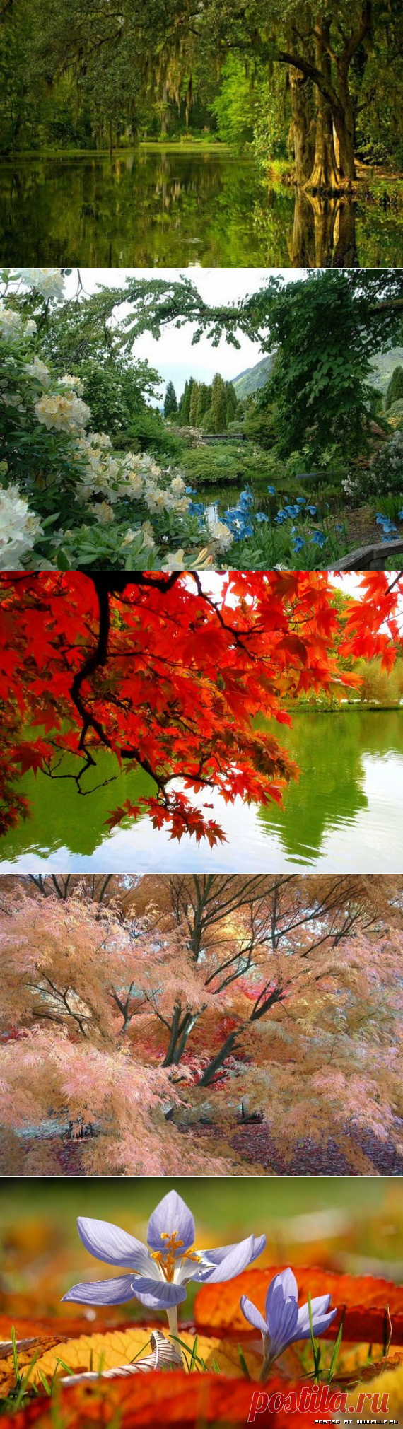 Природа / Pinme