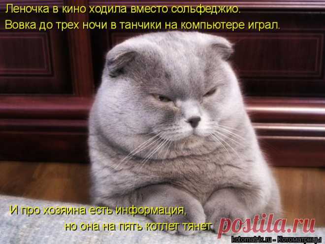 Самая свежая котоматрица. Ржач