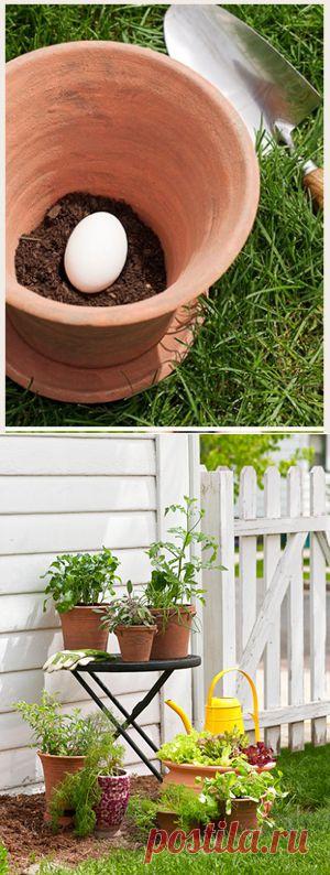 Без заголовка