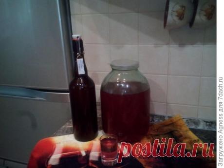 Настойки и наливки своими руками. Рецепты и отзывы