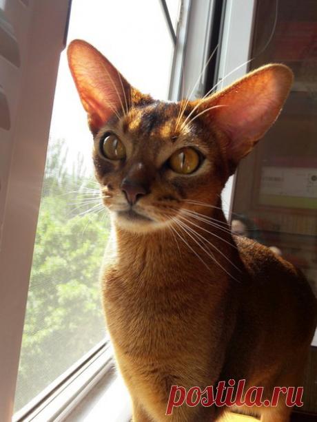 Мой Мир@Mail.Ru