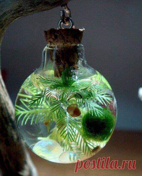 Миниатюрный аквариум как элемент декора