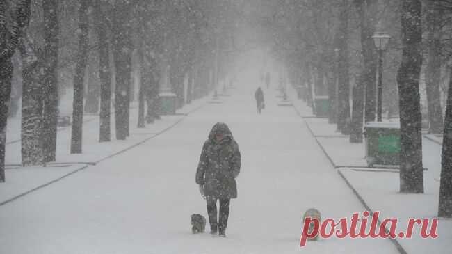 Москвичей предупредили о гололедице