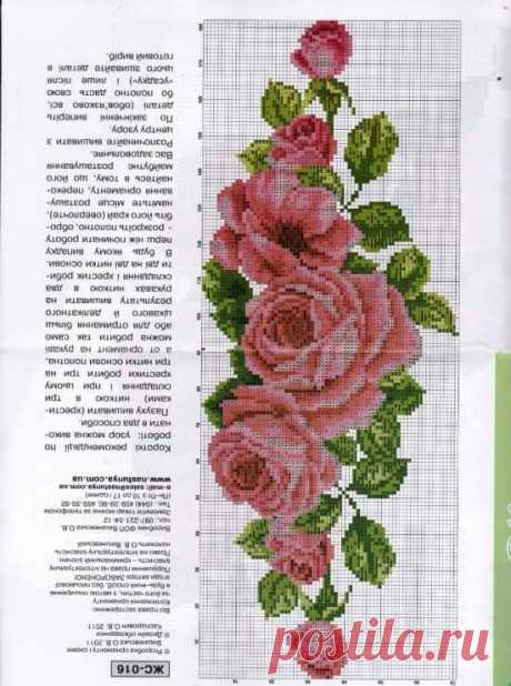 Без названия
