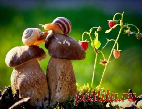 Романтическое свидание)))