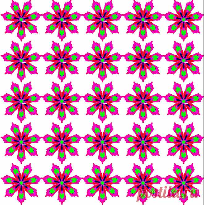 Wallpaper With Flowers  Free Stock Photo HD - Public Domain Pictures