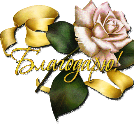 Профиль пользователя tamila106