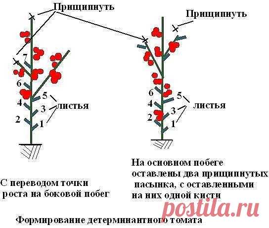 Новости