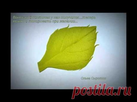 Мастер-класс по созданию листиков из Фоамирана...Несколько вариантов... - YouTube