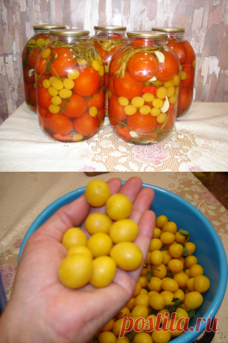 Консервированные помидоры с желтой алычей(ткемали), без уксуса