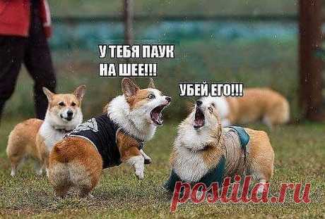 предупредила.....