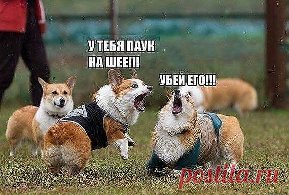 предупредила.....