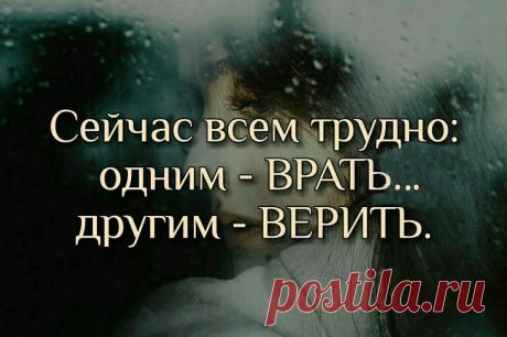 #думай, делай, не теряй чувства юмора
