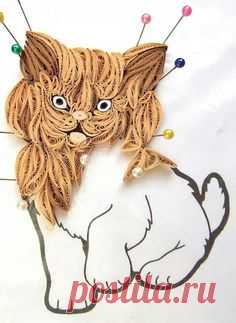 Cat in progresd