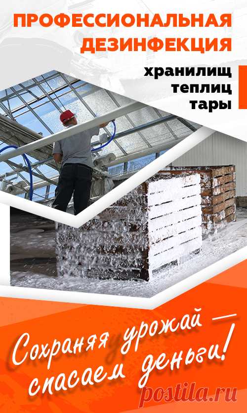 Полурядный комбайн для уборки смородины, аронии, крыжовника, шиповника, жимолости JOANNA-4 Standard купить в Беларуси, цены в каталоге Selagro