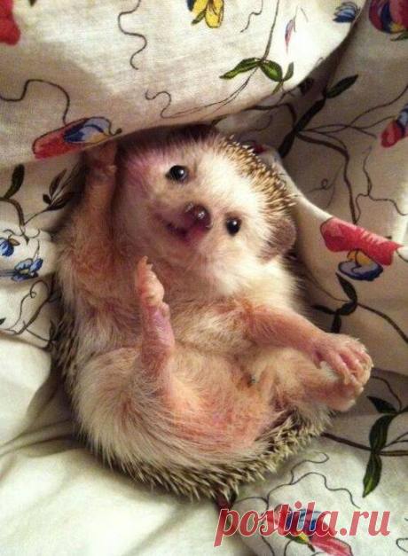over cute!!! | Cute |