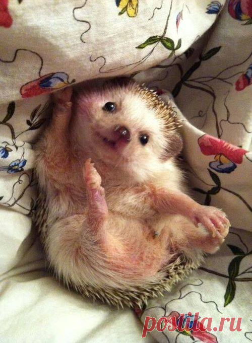 over cute!!! | Cute |