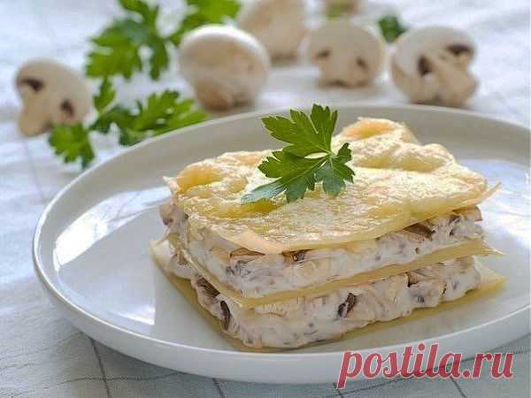 Аппетитная лазанья с курицей и грибами