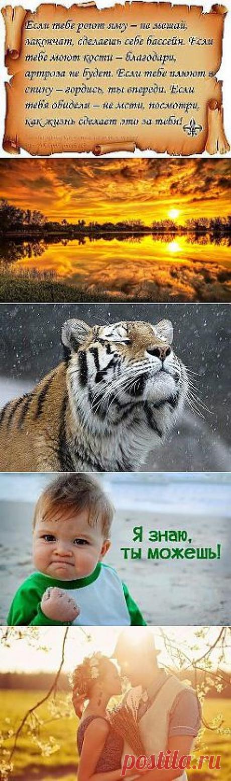 Одноклассники