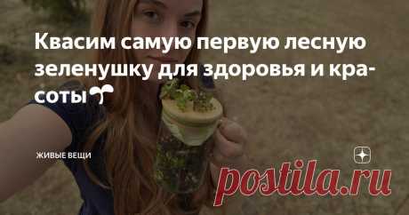 Квасим самую первую лесную зеленушку для здоровья и красоты🌱 Статья автора «Живые вещи» в Дзене ✍: Весна в этом году просто удивительна! Если в прошлом году мы в это время в поход по льду ходили, то сейчас - уже собираем травы и делаем первые полезные заготовки.