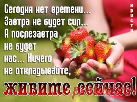 Дорога жизни, жизни полоса…