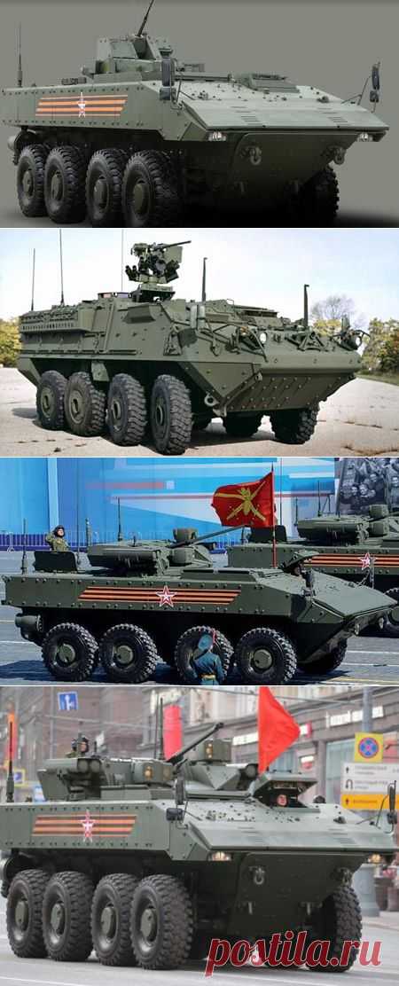 Самый вооруженный в мире БТР: почему «Бумеранг» стал новой философией в создании бронетехники - Телеканал «Звезда»
