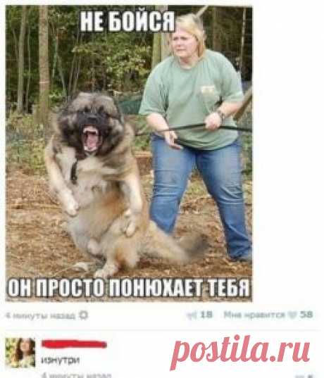 30 фотографий, которые вызовут неудержимый смех. Умора! Фотографии при просмотре которых, губы просто расплываются в улыбке. То что нужно, для позитивного заряда на весь день!





























Источник