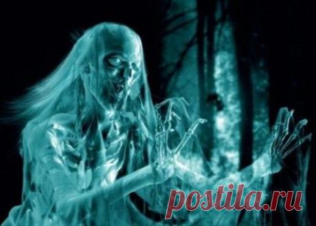 Причина появления привидений — плесневые грибы