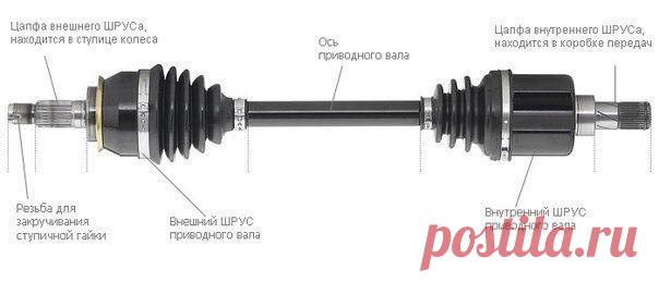 Полуось и приводной вал 

Приводной вал и полуоси, являются весьма ответственными узлами в трансмиссии автомобиля. Приводные валы сегодня устанавливаются на переднеприводные, заднеприводные и полноприводные автомобили. Полуоси изготавливаются из прочного сплава, так как при эксплуатации они испытывают огромные нагрузки в виде скручивания и сдвига.
Показать полностью…