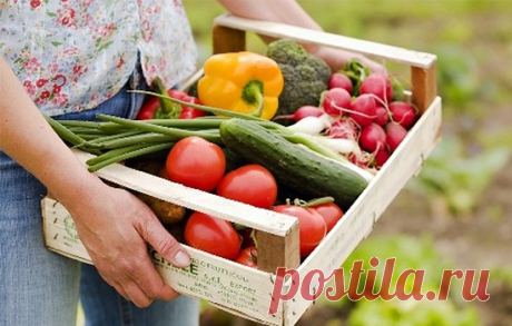 Как избавиться от нитратов в овощах и фруктах?