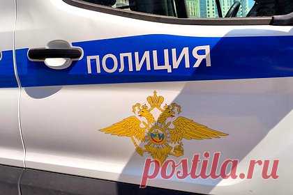 Стало известно о проверке детсада в Москве до отправки его воспитанников отдел. Действия сотрудников правоохранительных органов, которые забрали из детсада шесть детей, посадили их в «бобик» и увезли в отдел, являются самоуправством и превышением должностных полномочий. Об этом заявил основатель сети частных детских садов Иван Сорокин, пишет «Московский комсомолец».