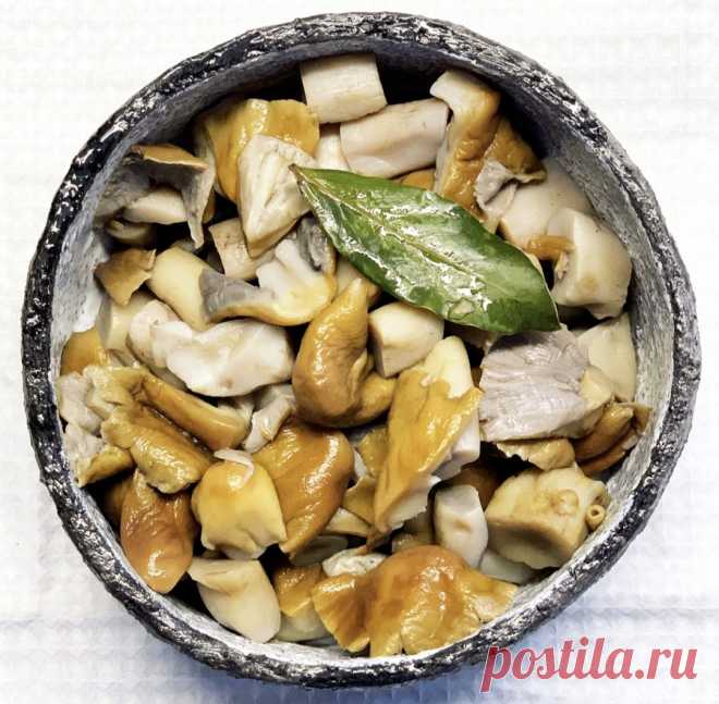 Rauginti gudukai (vokietukai, kalpokai) | Bulvių košė