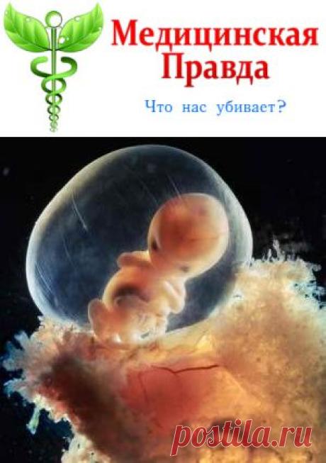 Вакцины делают из человеческих эмбрионов