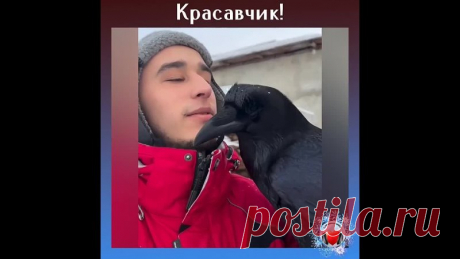 Какой умный ворон!
